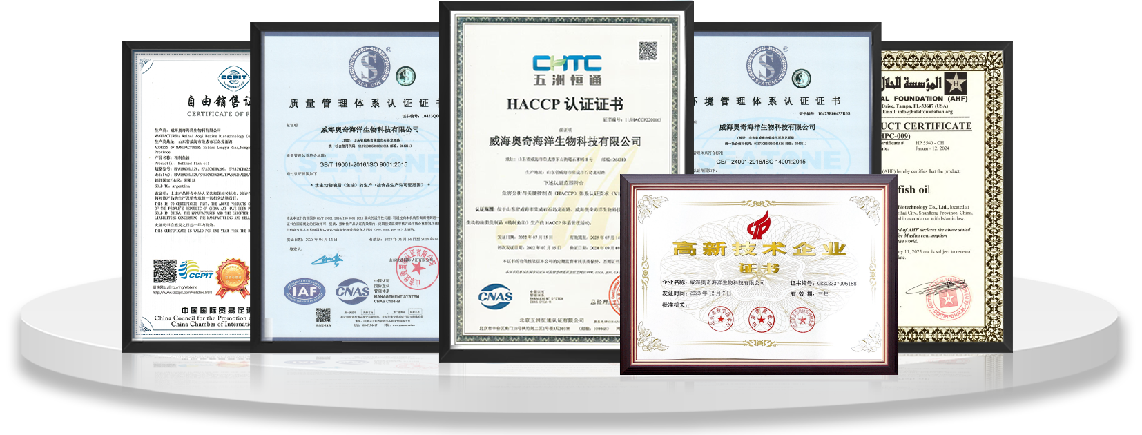 ENTERPRISE QUALIFICATIONimg